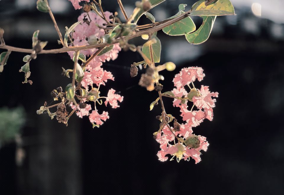 changshahuiguan 내부 인테리어