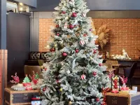 Ratchada Boutique Hotel Hotels in Bangkok