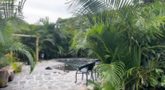 Fengling Shenxuan Tourism Homestay