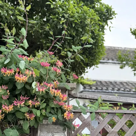 Fengqu Courtyard (Fengyi Scenic Area)