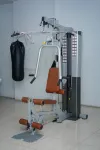 Seven Living Tamansari Mahogany Karawang - Gym