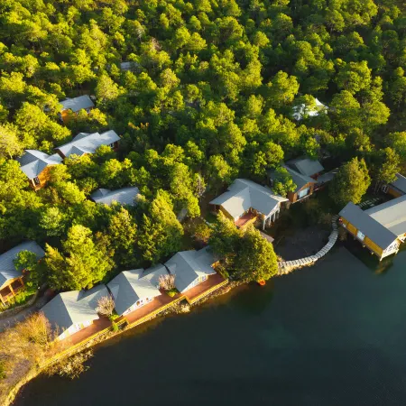 Misty Forest | Golden Dawn on Snow Peaks · Wild Luxury Secluded Mountain Lodge