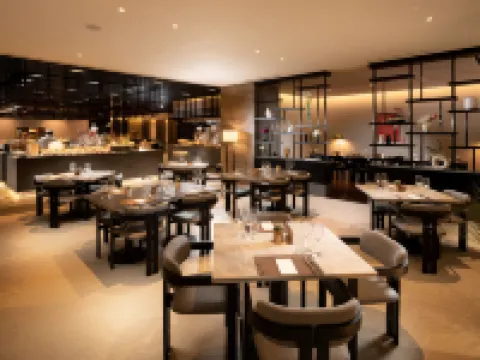 首爾板橋希爾頓逸林酒店 城南市酒店