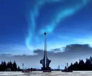 Mohe Yujing Mountain Forest Hotel (Arctic Village)