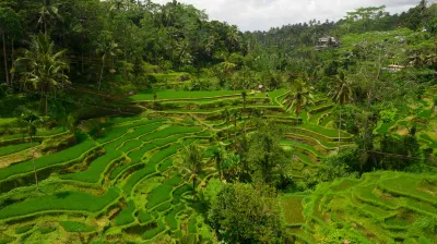 Alila Ubud. Bali Hotel dekat Pemandian Air Panas Belulang