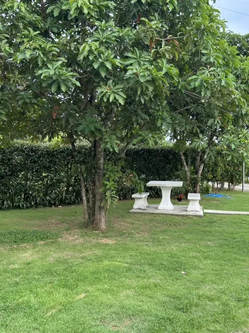 รูปภาพของบ้านแม่รีสอร์ท ท่าชนะ สุราษฎร์ธานี