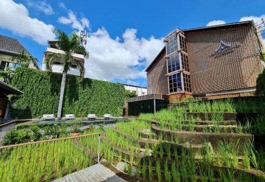 더 치앙마이 올드 타운