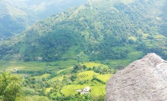 HOANG SU PHI MONG NGUA BUNGALOW & HOMESTAY