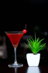Muong Thanh Luxury Buon Ma Thuot Hotel - bar