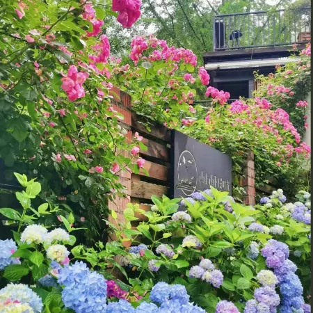 Yixiang Homestay