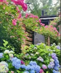 Yixiang Homestay
