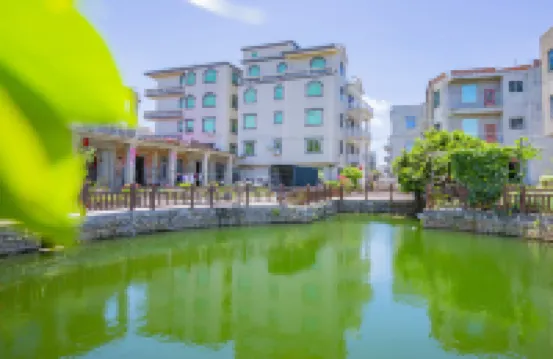 Meizhou Island tea wild leisure homestay