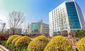 ZHENGFENG TRAINING CENTER