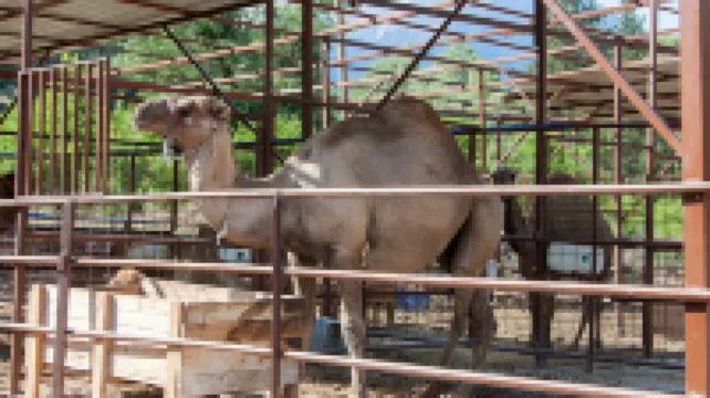 Waterfall Heaven House