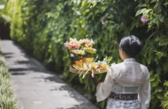 Ekosistem管理的iSuite