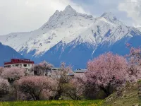Suosong Mountain Lodge (Suosong) - con vistas a la montaña