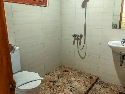 デラックス ダブルルーム ウィスマ アリーズ ホテル ジョグジャカルタの写真