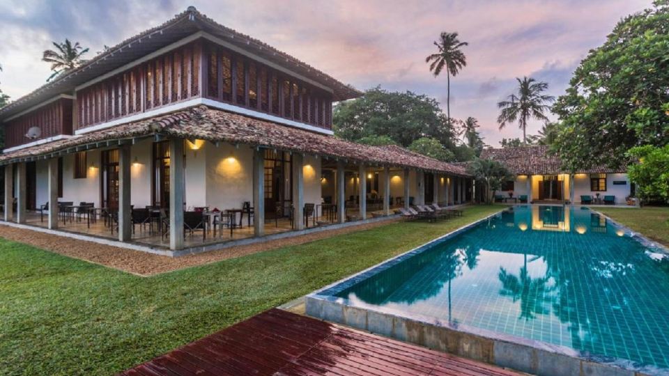 The Frangipani Tree by Edwards Collection - Thalpe