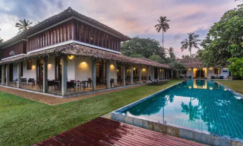 The Frangipani Tree by Edwards Collection - Thalpe