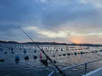 Guanglu Island Yihaiwan Homestay