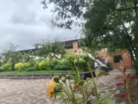 Wangchunshan Courtyard Vacation Apartment (Huanren Wangtiandong National Geopark) - breakfast
