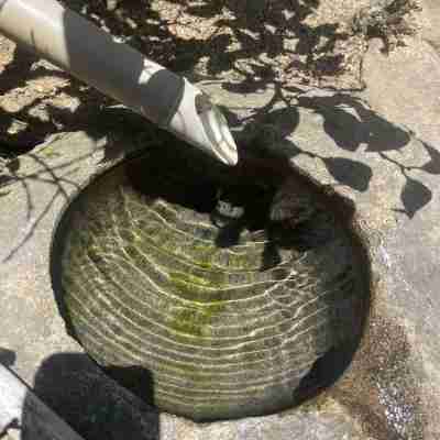 蒼々さぬき志度 Rooms