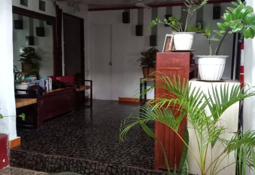 Orange Mangrove Pension House 전경