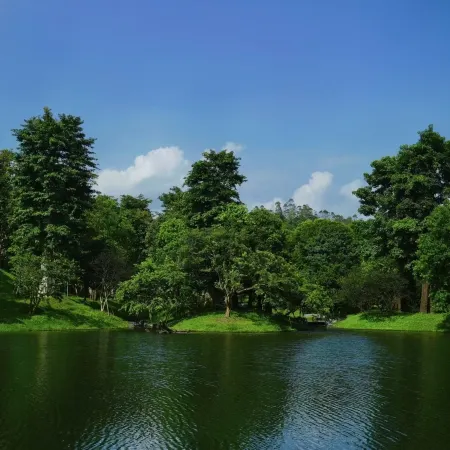 Kaisen Millennium Ancient Tree Garden (Sen LOVE Store)