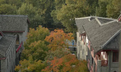 成都6500酒店（寬窄巷子祠堂街店）