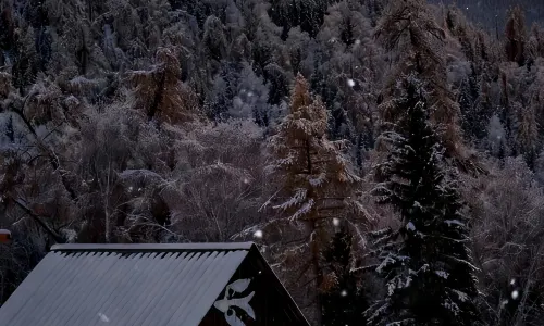 Ta'er Homestay (Baihaba Village Branch)