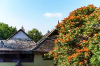 Jinghong City Tailai Inn (Gaozhuang Xishuangbanna Starlight Night Market Branch) - Mountain View