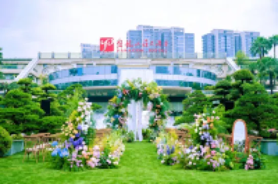 Paragon Hotel Hotels in 