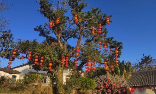 Huizhou autumn long valley home stay