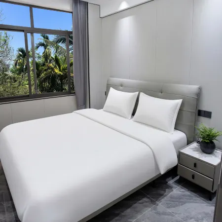 Lechen · Ruyuan Hotel (Boao International Airport Boao Station)