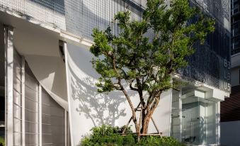 BLU 395 Ari-Saphan Khwai
