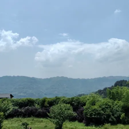 Hejiang Banshan Yunshe