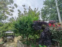 Ningguo Yunhuanglong Homestay - vue sur la montagne