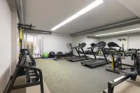Warmthotel - palestra