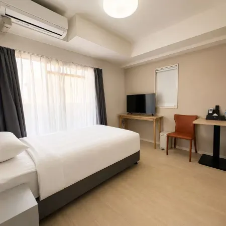 Hotel Arashi Nippombashi 2 No.008