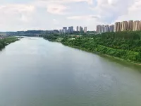 DONG JIU YUN SHU JIU HOTEL - Mountain view