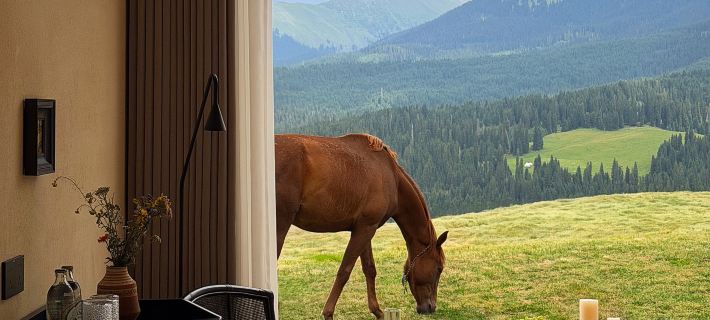 FuYe Hotels in Tekes County