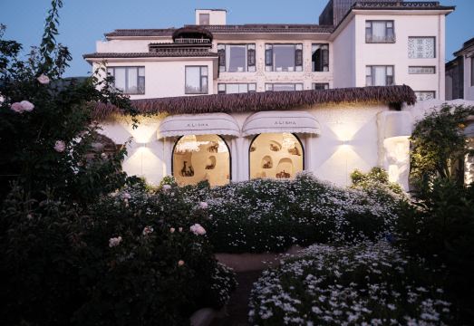 알리샤 정원 야경