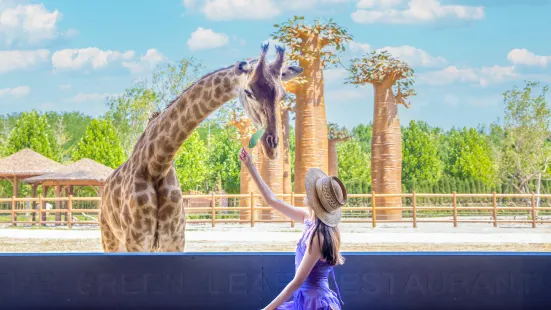 All Love Park Giraffe Manor Hotel