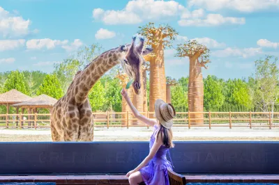 All Love Park Giraffe Manor Hotel