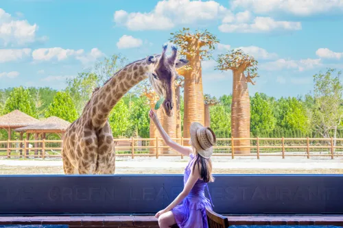 All Love Park Giraffe Manor Hotel Hotel a Qihe