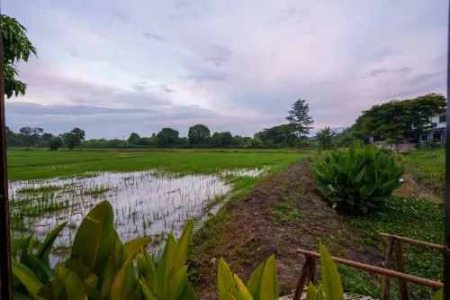 Mana-An Lake Hill Resort Villa Hotels in Mae Rim District