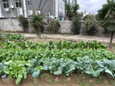 Ruijin Sunshine Holiday Homestay