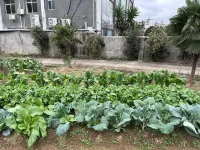 Ruijin Sunshine Holiday Hotel