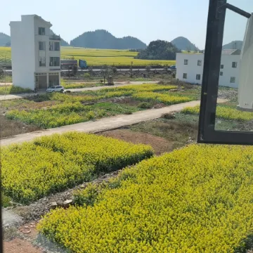 Luoping Jingyu Homestay