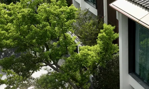 Kimpton BAMBOO GROVE SUZHOU by IHG